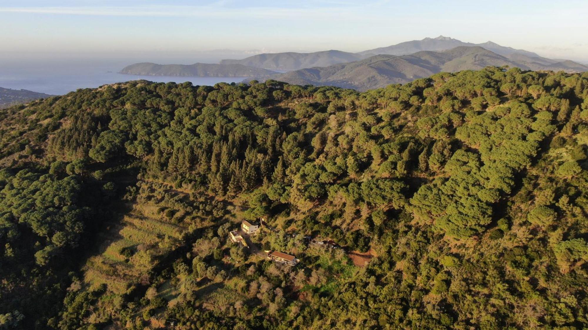 Aria Di Collina - Isola D'Elba Daire Porto Azzurro Dış mekan fotoğraf