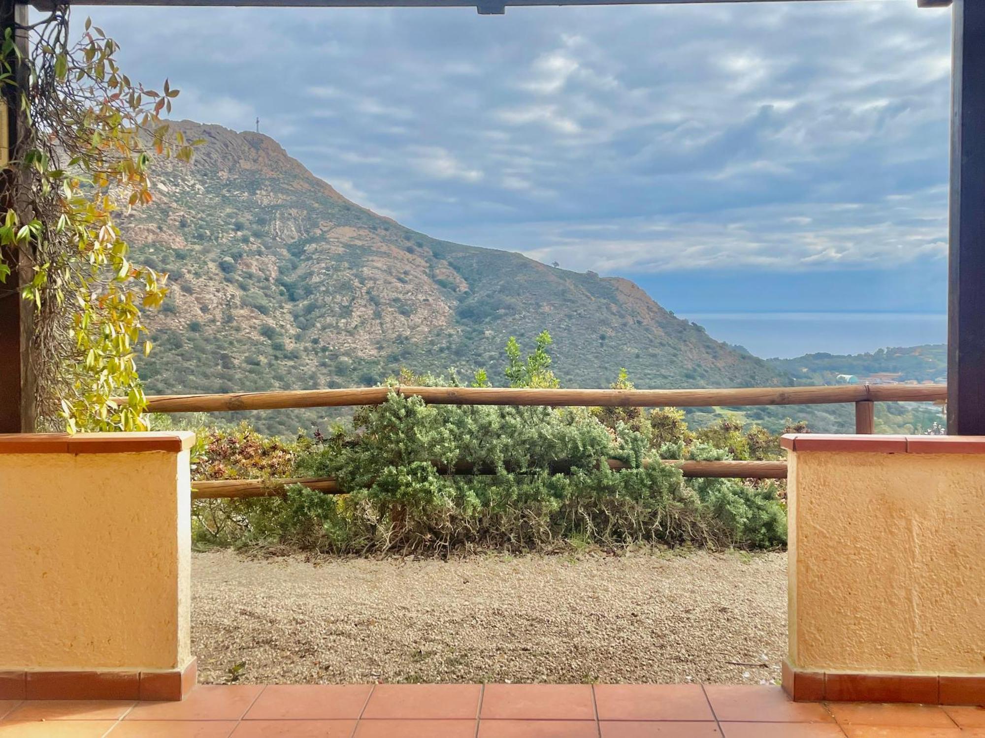 Aria Di Collina - Isola D'Elba Daire Porto Azzurro Oda fotoğraf