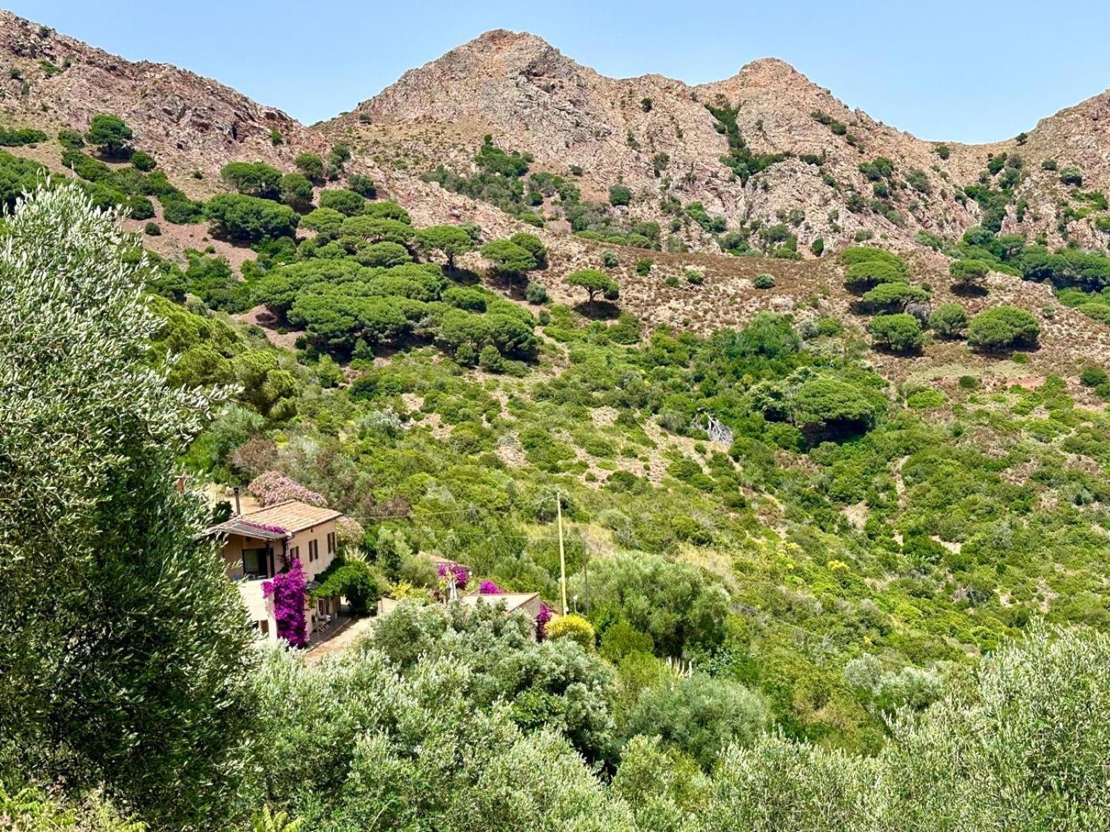 Aria Di Collina - Isola D'Elba Daire Porto Azzurro Dış mekan fotoğraf